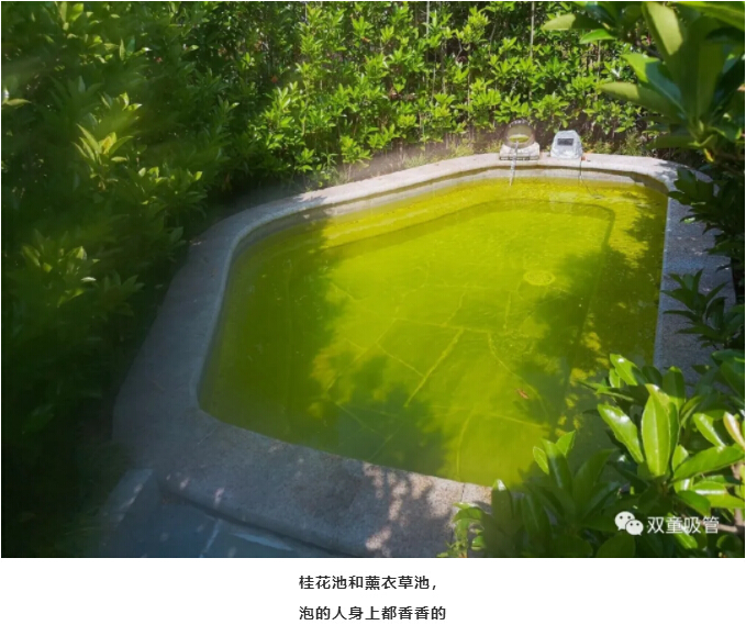 瞧!这超大的温泉池堪比泳池,大的都可以游泳啦!